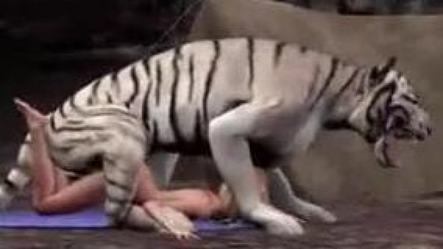 Tiger Fucks Woman