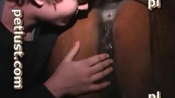 Зоо секс с лошадью. Немец трахает животное