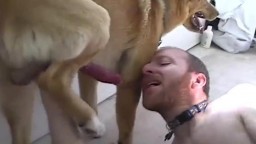 Ruscha tasmali videolarni tomosha qiling Katya Sambuka uni mushukcha